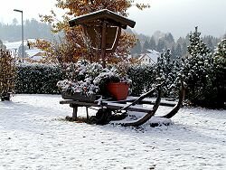 im Garten von Familie Kser