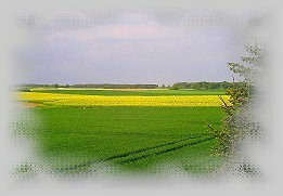 weite Landschaft