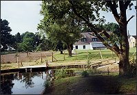 Erfrischung im Naturschwimmteich