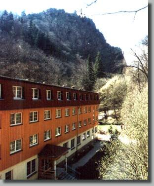 Waldhotel Am Ilsestein